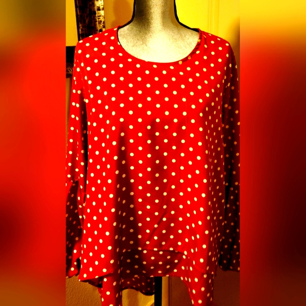 Ladies Polka Dot Blouse
